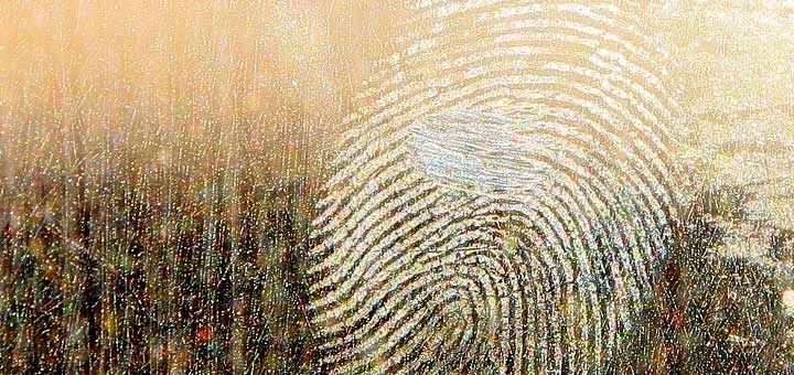 Les empreintes digitales