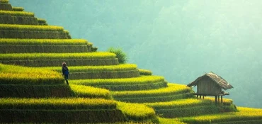 Voyage en Malaisie : explorer un pays aux multiples visages