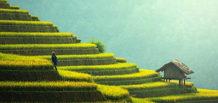 Voyage en Malaisie : explorer un pays aux multiples visages
