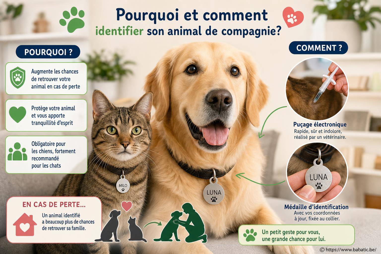 Pourquoi et comment identifier son animal de compagnie ?